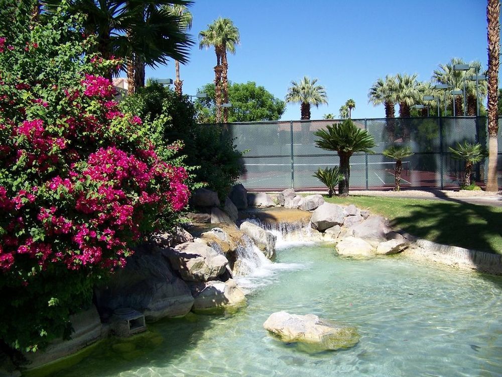 The Oasis Resort Palm Springs Facilities photo